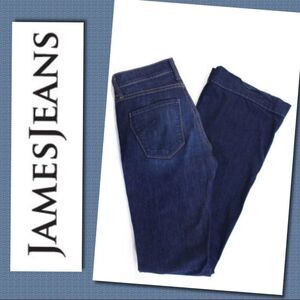 James Jeans Humphrey Brat Flare Leg Jeans 27